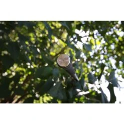 Nash Entity 12ft 3.00lbs Full Shrink -Fox Winkel 4324471Nash Entity 12ft 3 00lbs Full Shrink 2